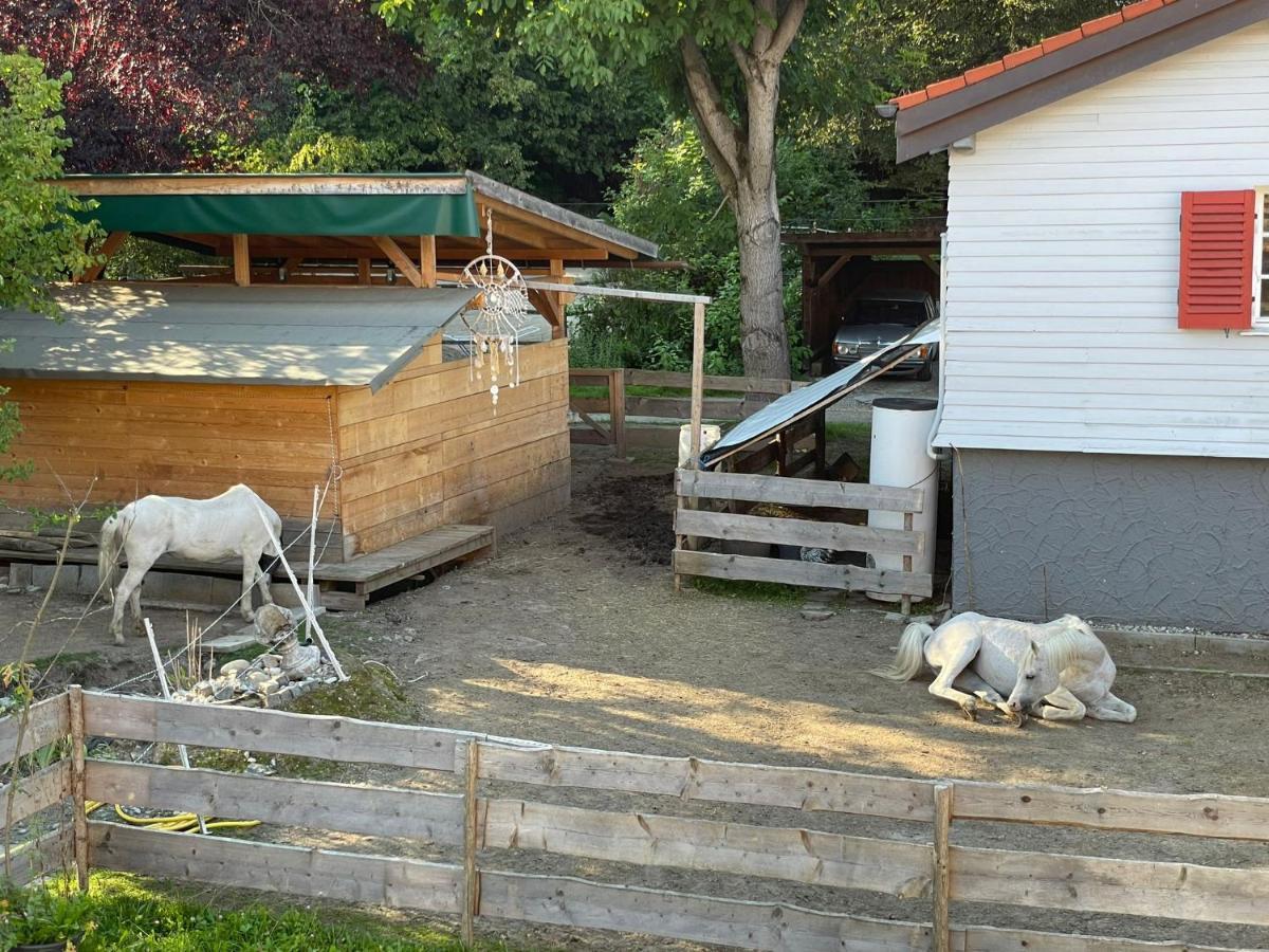 Zentral Im Gruenen Kempten im Allgäu
